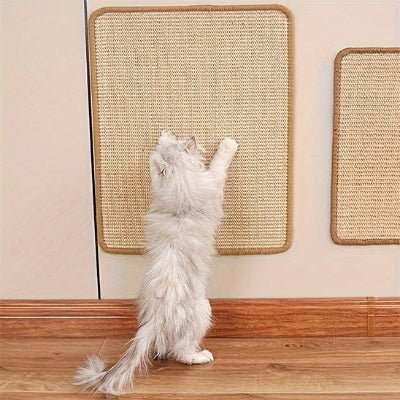 chat griffe ses griffe dans le griffoir a chat