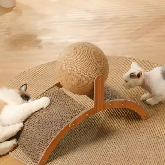 chat griffe griffoir pour chat design
