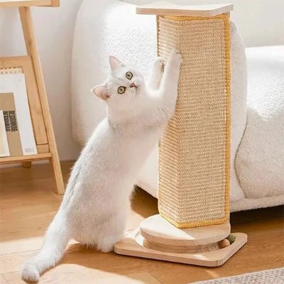 chat griffe ses ongles avec griffoir a chat
