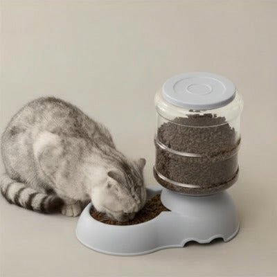 Chat gris à queue rayée mangeant son repas dans une gamelle automatique chat.