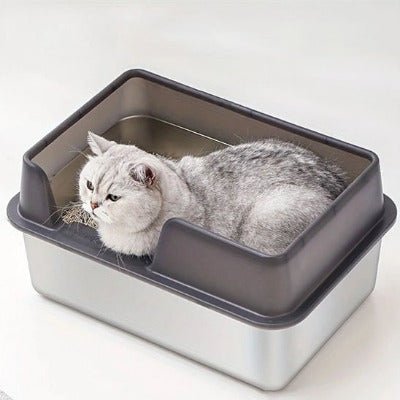 Le chat est accroupi dans le bac à litière pour chat