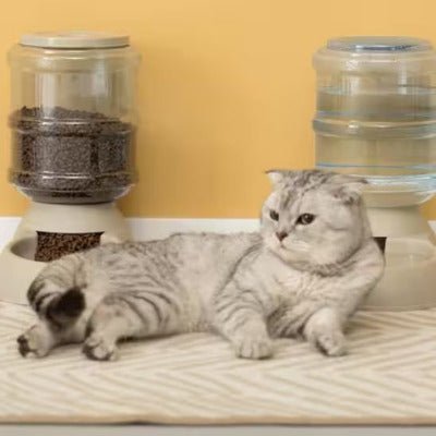 Chat gris allongé confortablement entre les gamelle automatiques chat.