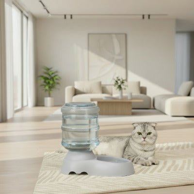 Chat gris allongé devant une gamelle automatique chat