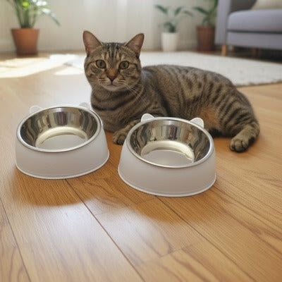 Chat gris allongé sur le sol, à côté d’une gamelle pour chat