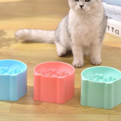 Chat gris assis devant la gamelle anti glouton chat