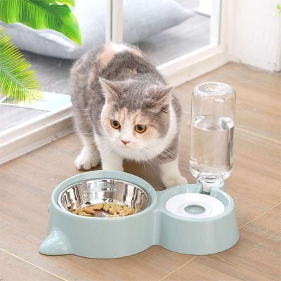 Chat gris beige proche d’une gamelle automatique chat bleue