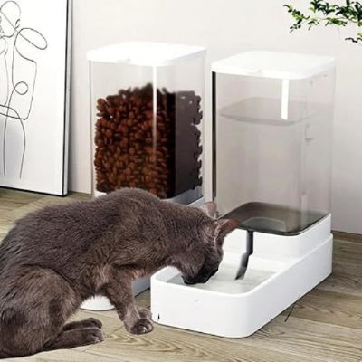 chat gris buvant eau distributeur de croquettes pour chat