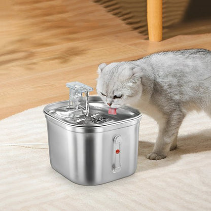 chat gris buvant eau frais fontaine a eau chat