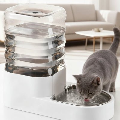 chat gris buvant l'eau frais dans la fontaine eau pour chat