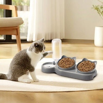 Chat gris au cou blanc joue à côté de la gamelle pour chat