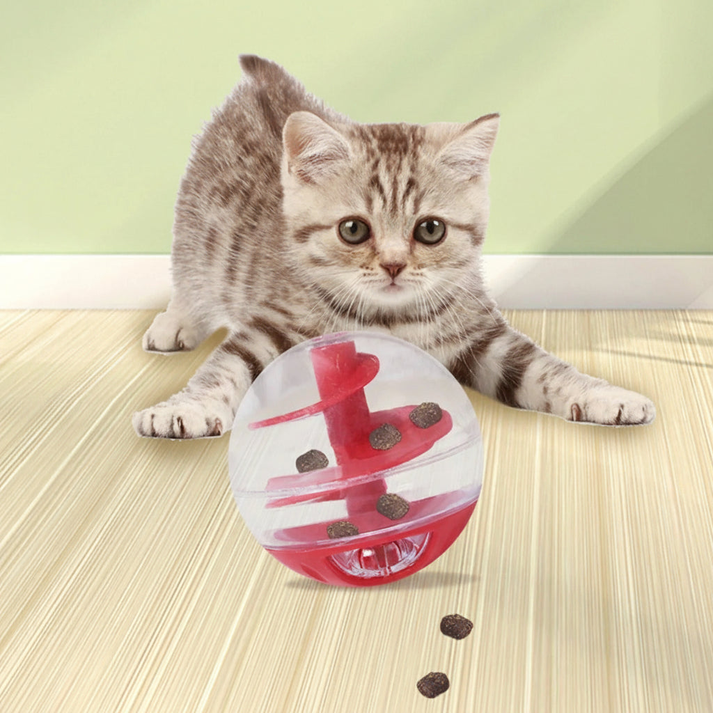 chat gris jouant avec jouet distributeur de croquettes pour chat 