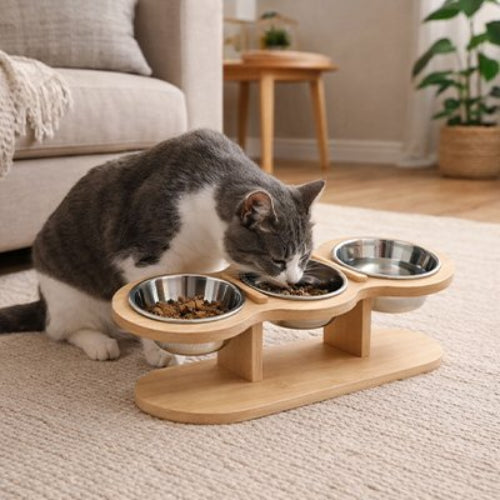 chat gris mangeant dans gamelles pour chats