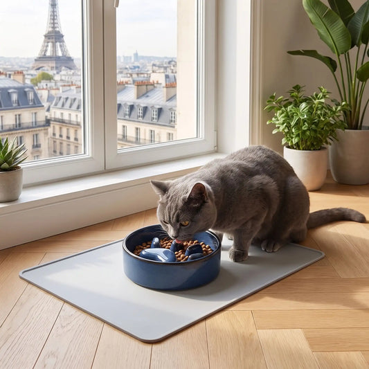 chat gris mangeant dans la gamelle anti glouton pour chat