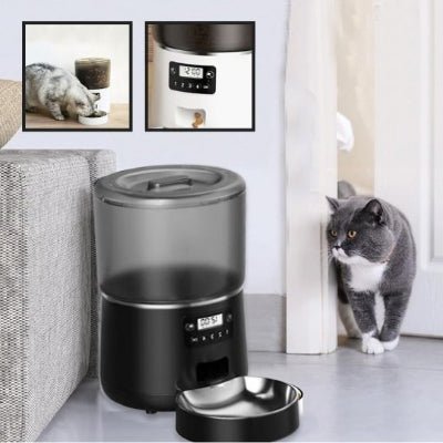 chat gris observe prudemment distributeur croquette chat noir avec photos en haut                                                                                                          