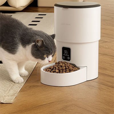 chat gris regarde repas distributeur de croquettes pour chat automatique blanc