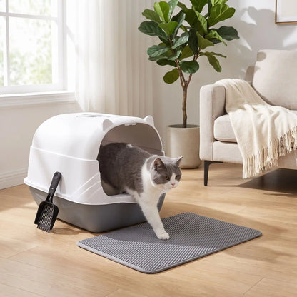 chat gris sortant du bac a litiere ferme chat