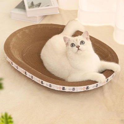 chat installé sur le griffoir chat carton