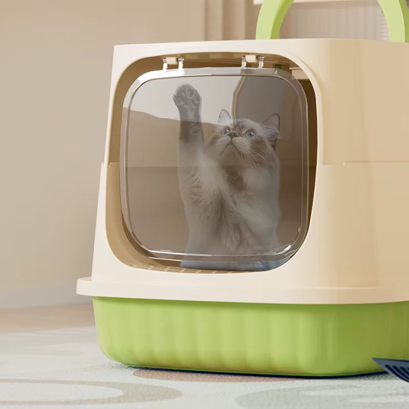 chat à l"interieur du bac a litiere ferme