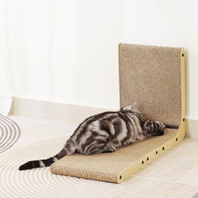 Chat jouant avec une balle cachée dans un griffoir pour chat