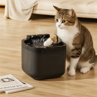 chat brun et blanc jouant avec de l'eau dans la fontaine a eau pour chat 