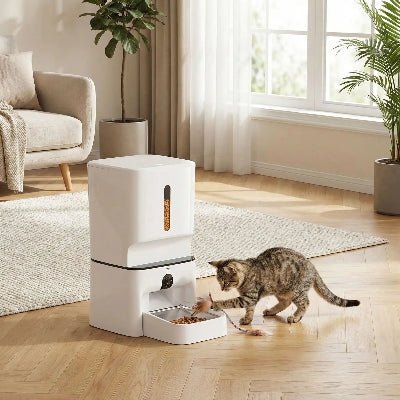chat jouant prés du distributeur croquette chat automatique