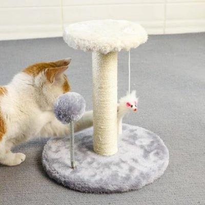 chat jouant avec la souris suspendu du griffoir pour chat