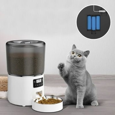 chat joue a cote distributeur croquette chat photo a droit pile