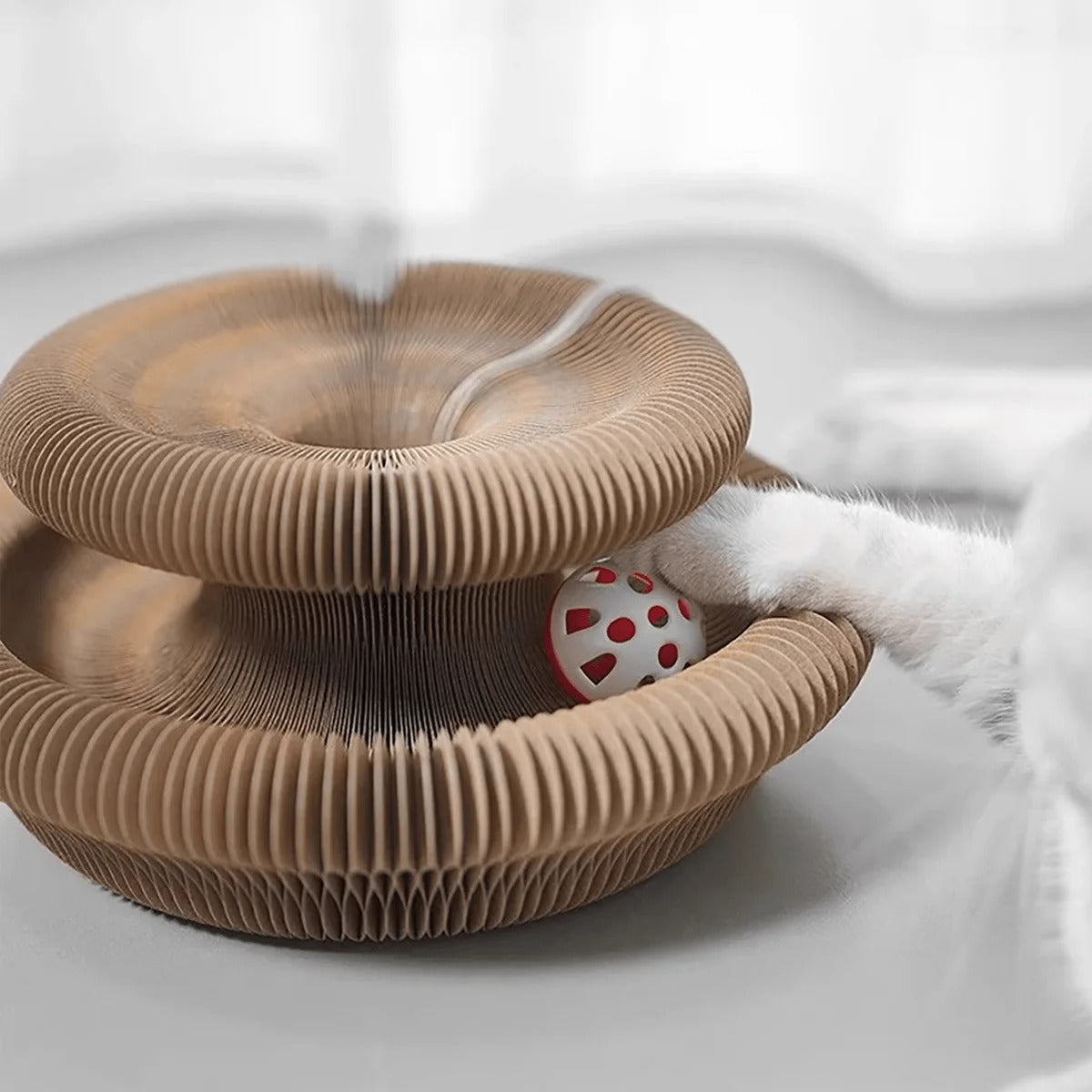 chat joue avec le griffoir rond pour chat