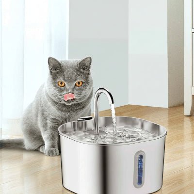 chat léchant après bu l'eau dans une fontaine pour chat