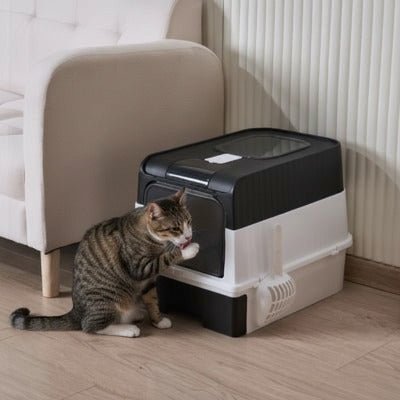 Chat se léchant le corps près d’un bac à litière chat noir 