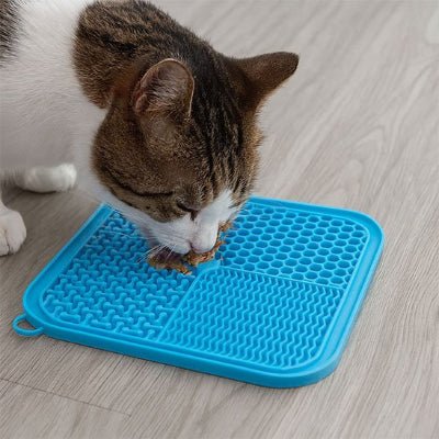 chat léchant Tapis de lechage chat bleu