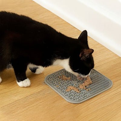 chat léchant Tapis de lechage chat gris