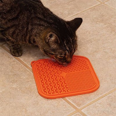 chat léchant Tapis de lechage chat orange