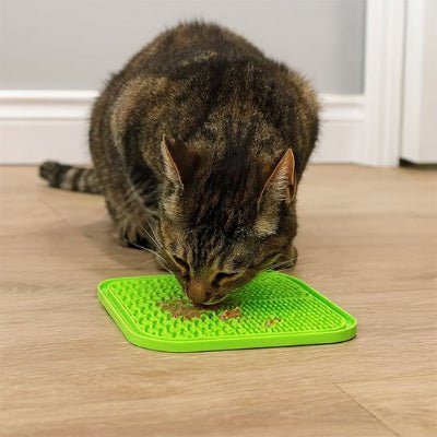 chat léchant Tapis de lechage chat vert