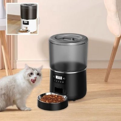 chat lèches a cote distributeur croquette chat noir photo a gauche blanc