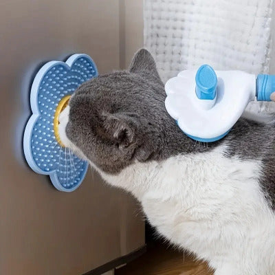 chat lèche gamelles anti glouton chat collée sur le frigidaire