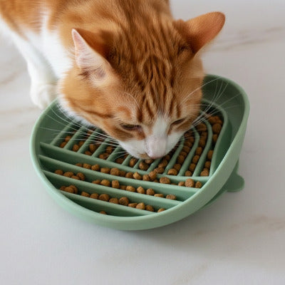 chat mangeant des croquettes dans une gamelle anti glouton verte