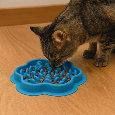 chat mangeant des croquettes dans une gamelles anti glouton chat bleue