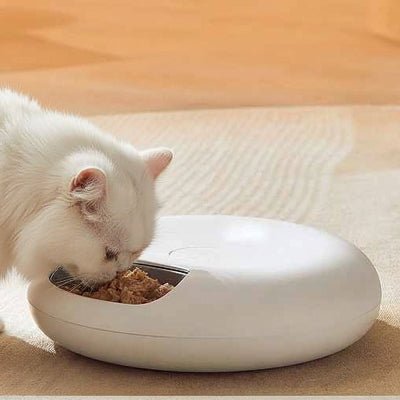 chat mangeant dans le distributeur automatique de croquettes pour chat