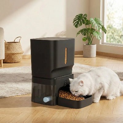 chat mangeant dans distributeur croquette chat automatique