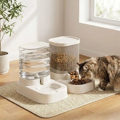 chat mangeant des croquettes dans une distributeur de croquettes