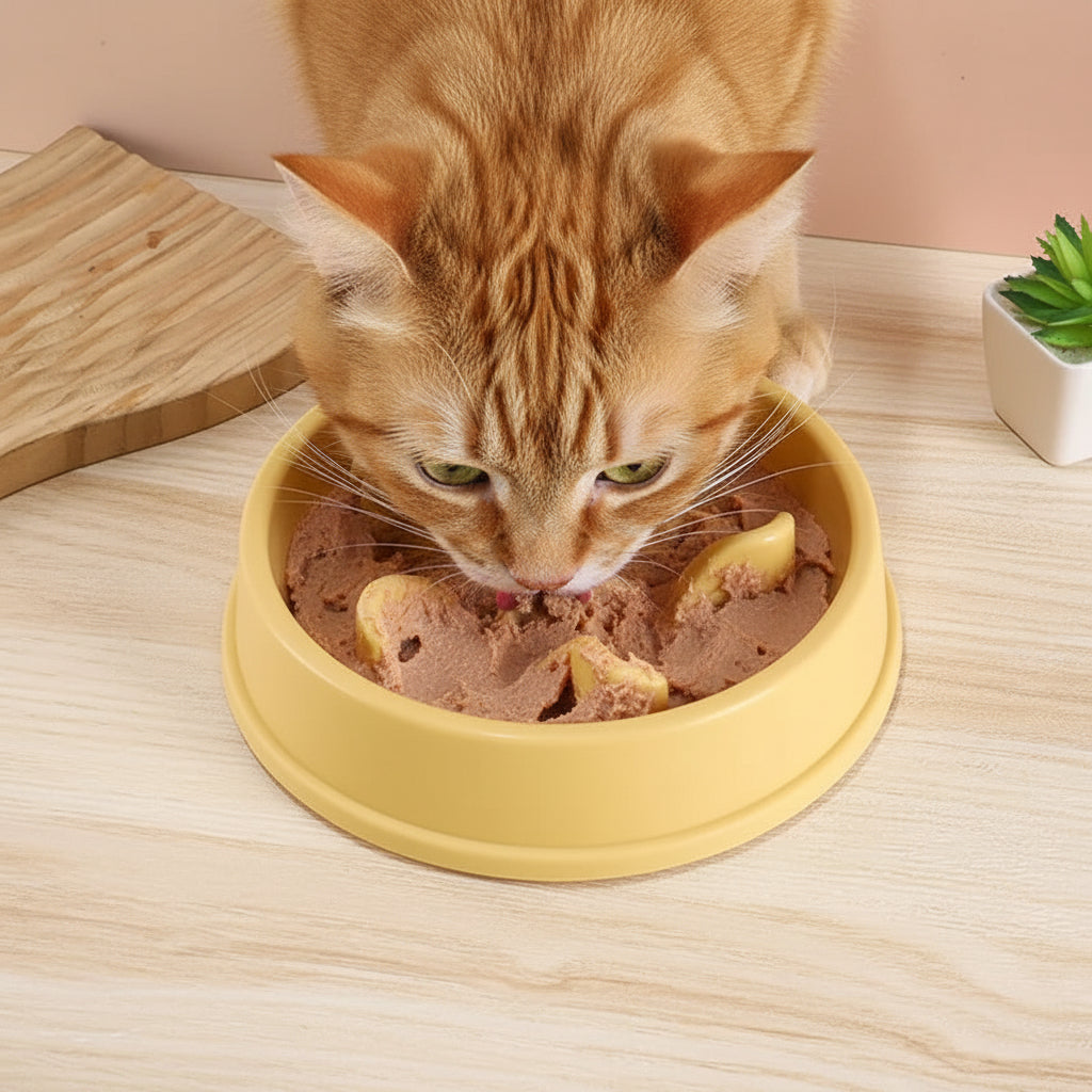 chat mangeant dans la gamelle pour chat anti glouton jaune