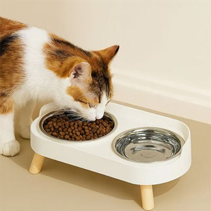 chat mangeant dans gamelles pour chat