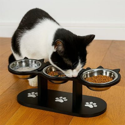 chat mangeant dans gamelles pour chats