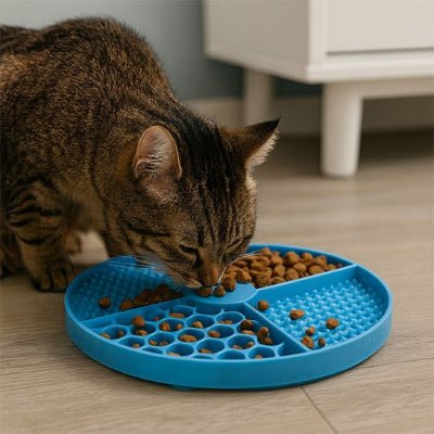 chat mangeant du pâtée dans le Tapis de lechage chat