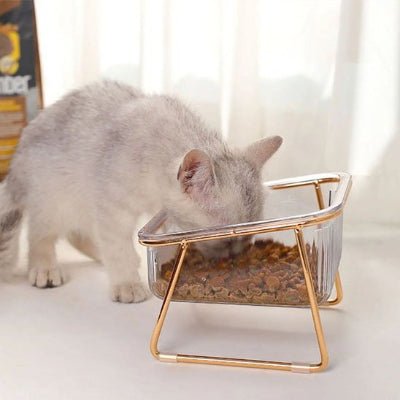 chat mangent dans une gamelles pour chats simple
