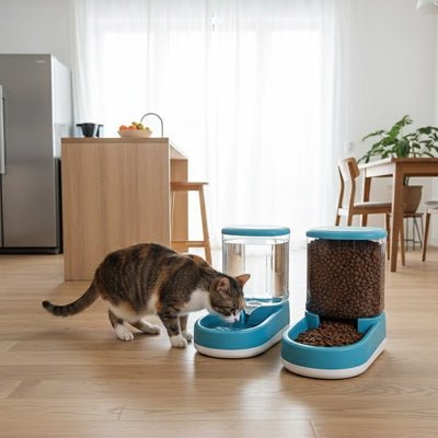 chat brun met prés du distributeur croquette chat bleu