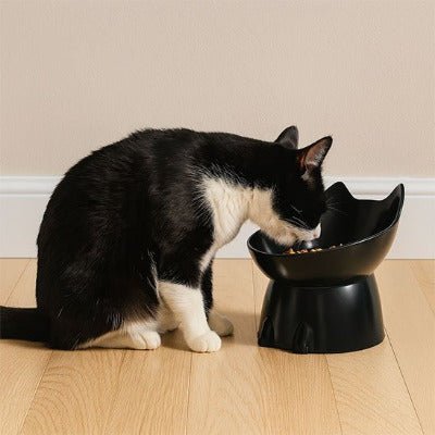 chat noir mangeant croquettes cofortablement Gamelle Chat surélevée noire