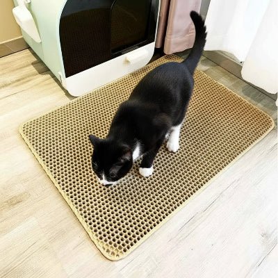 chat noir tache blanc renifle sur le tapis litière chat