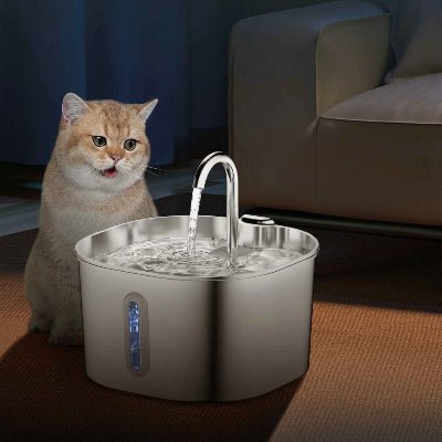 chat observant l'eau couler dans la  fontaine pour chat